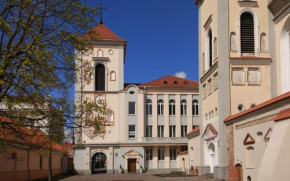  Villa Kaunensis  Каунас